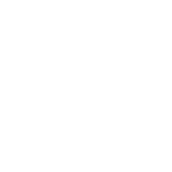 世田谷246ハーフマラソン