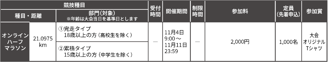 概要表
